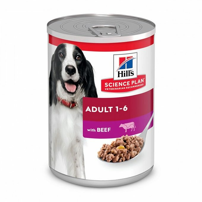 Bästa Hundfoder För Viktökning - 6 Alternativ För Ett Hälsosamt Husdjur