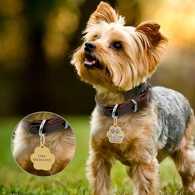 Bästa Hundnamnlappar - ID-taggar För Hundar, Material Och Storlek
