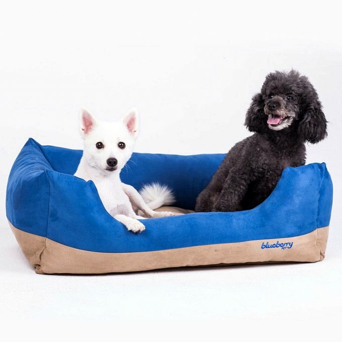 Blueberry Pet Heavy Duty Pet Bed Review
