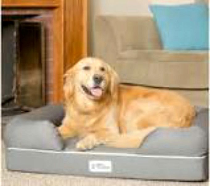 Recension. PetFusion Ultimate Dog Bed Ortopedisk Memory Foam